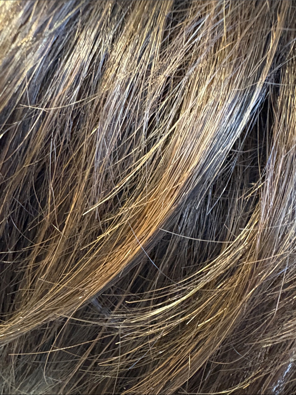 Raquel Welch Born to Shine Wig NWOT - Picture 11 of 13